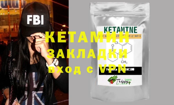 крисы Бородино