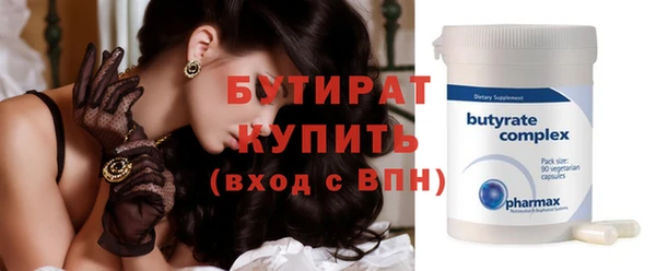 крисы Бородино