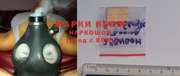 крисы Бородино