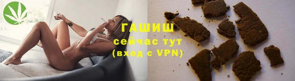 крисы Бородино