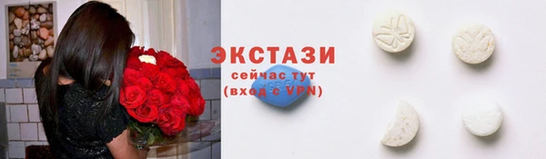 крисы Бородино