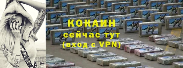 крисы Бородино