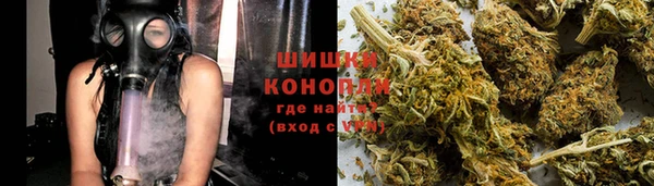 крисы Бородино