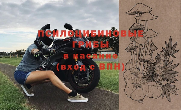 прущая мука Верея