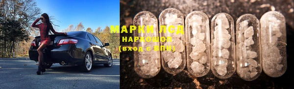 крисы Бородино