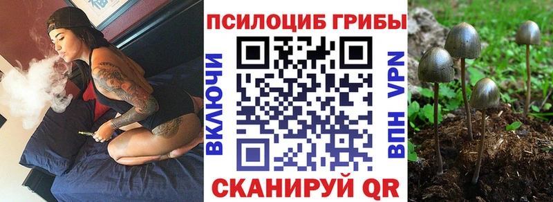 Галлюциногенные грибы GOLDEN TEACHER  продажа наркотиков  Кизел 